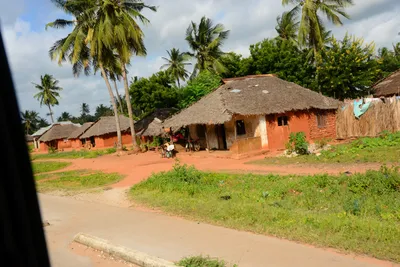 DSC_8096 (Large).JPG